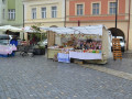 0033_rallye-melnik-2013
