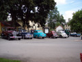 0082-veterani-melnik-06-2010